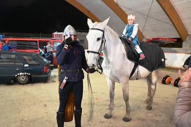 Svatomartinsk slavnosti